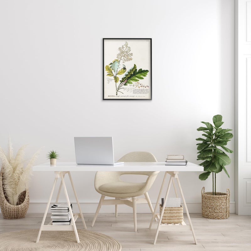 Stupell Industries Botanical Plant Illustration Leaves Vintage Design Black Framed Wall Art, Multi-Color, 24 x 30 - Image 2